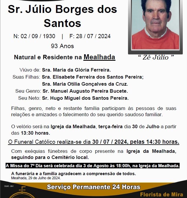 Sr. Júlio Borges dos Santos